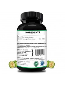 Laventrix Garcinia Cambogia herbs  90 Capsule